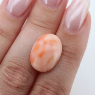 Coral tinted, 17.84*12.95