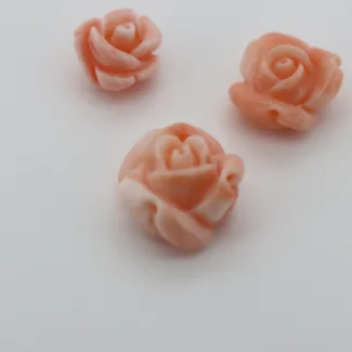 Coral rose, 10,07*9,4