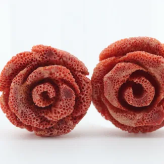 Coral colored rose, 16,3*15,87