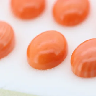 Coral tinted, 13.92*11.99